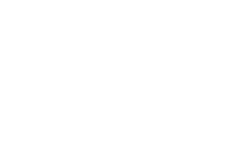 Perplexity
