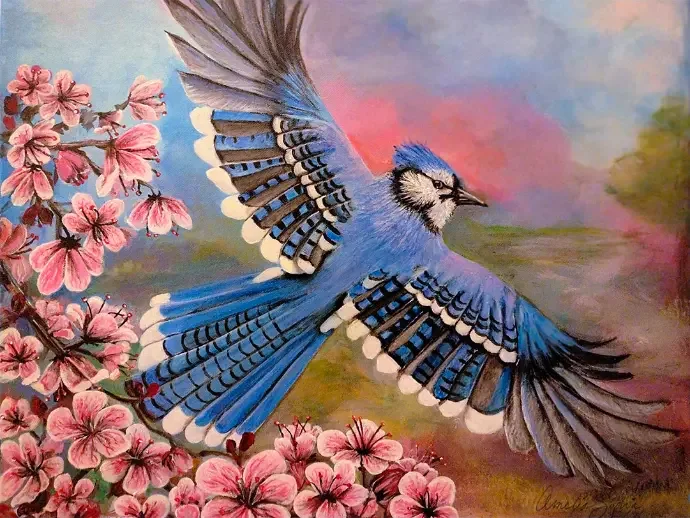 A blue jay in flight with its wings spread among pink blossoms.