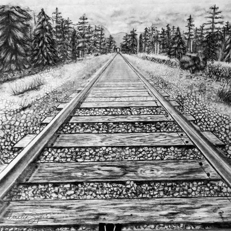 Railroad tracks running straight into a pine forest, drawn in graphite.