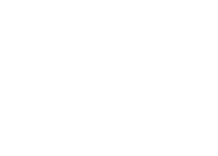 StreamElements Logo