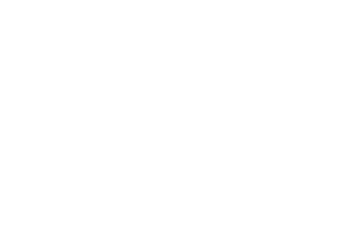 RawGraphs Data Visualization